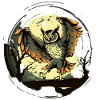 Owl in the moonlight