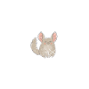 Chinchilla Rodent Pet Rodent Gift