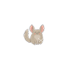 Chinchilla