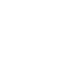 Chinchilla
