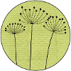 Fleur séchée Minimale