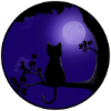 Cat Moon