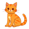 Mignon chat orange