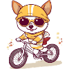 Lilo le chien au vélo