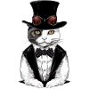 Hecty the chic cat