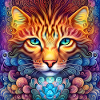 de chat psychédélique.