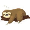 Official sleeping sloth sleeping shirt