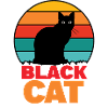 Black cat