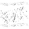 Rugby is Life