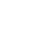 Bitcoin Brave