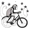 Singe sur le vélo