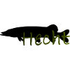 Hecht