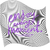 Enjoy every moment