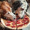 two dogs eating salami pizza