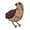 Caille Oiseau Motif Oiseaux