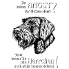 Angst vor DD? Herrchen