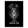 Never Give up