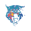Farbiger Wolf