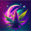 Space Cannabis