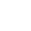 Chien cocker 2