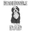Bernedoodle Dad