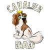 Cavalier Dad