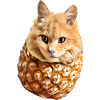 Chat ananas Kawaii