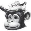 Affe mit Schuh-Hut