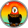 Cool parrot at sunset