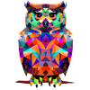 Polygon Eule