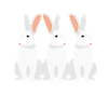 Rabbit Rabbit Rabbit Rabbit