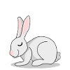 Lapin Lapin endormi