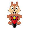 EICHHÖRNCHEN - MOTORRAD - BIKER - TIER