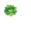 Funny Succulent Saying Love Botany