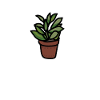 Funny Succulent Shirt