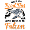 Falke Falkner Kestrel Falconry Falkner
