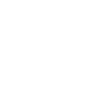 Dandelion Dandelion Seeds