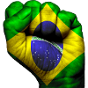 Fist Brazil