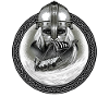 Viking World Tour