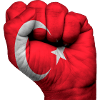 Fist Turkey