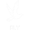 Fly