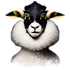Modisches Schaf