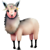 cute llama