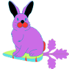 Rabbit