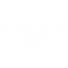 Carrier pigeon love letter