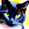 Chat noir