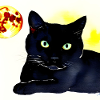 BlackCat