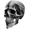 Head