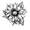 Hand-drawn sunflower, sunflower sticker
