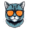 Cat with sunglasses